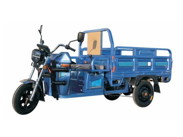 T1200DZH-FD TRICERA MOTO