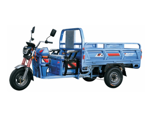 T1000DZH-13 TRICERA MOTO