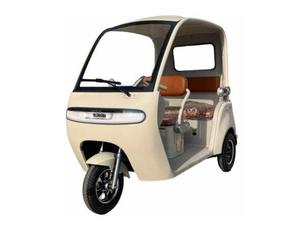 T650DZK-DQD3 TRICERA MOTO