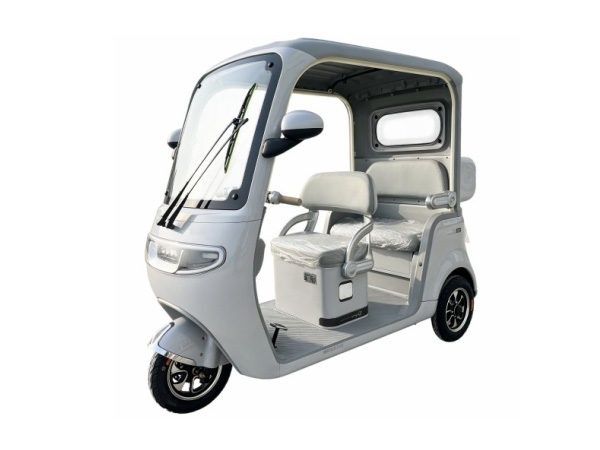 T650DZK-JMS3 TRICERA MOTO